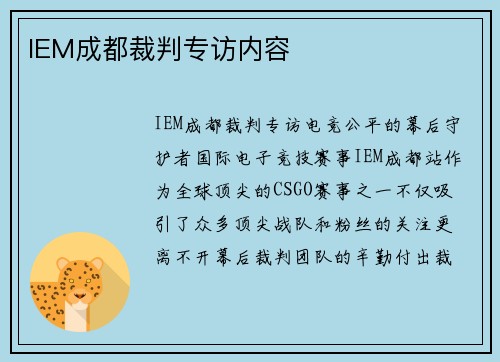 IEM成都裁判专访内容