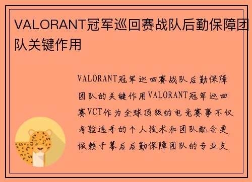 VALORANT冠军巡回赛战队后勤保障团队关键作用