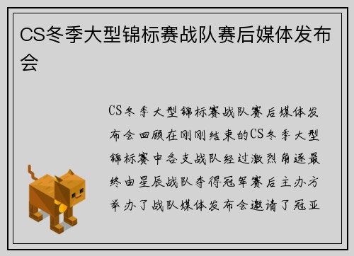 CS冬季大型锦标赛战队赛后媒体发布会