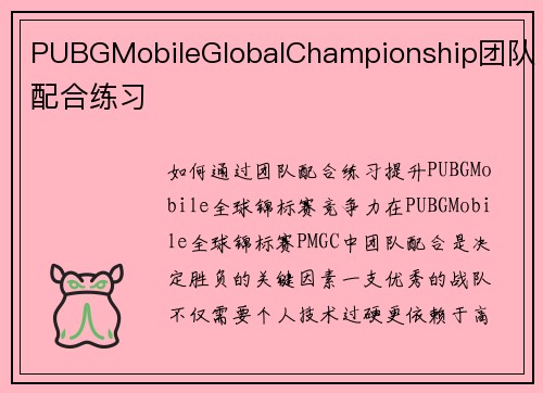 PUBGMobileGlobalChampionship团队配合练习
